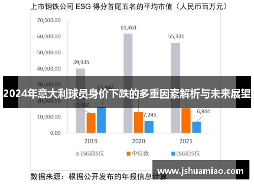 2024年意大利球员身价下跌的多重因素解析与未来展望