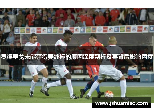 罗德里戈未能夺得美洲杯的原因深度剖析及其背后影响因素